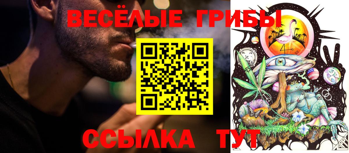 Галлюциногенные грибы Cubensis Белгород
