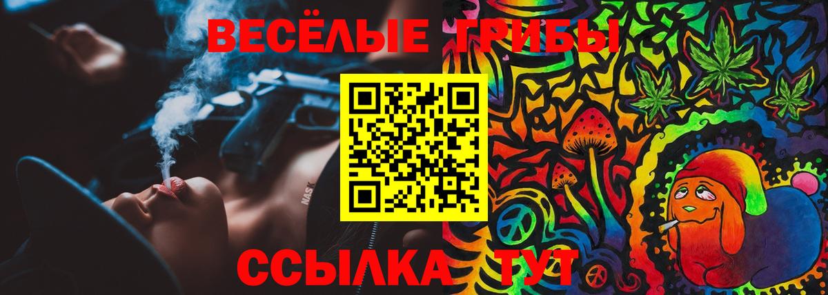 Галлюциногенные грибы Cubensis  Вход с VPN  Белгород 