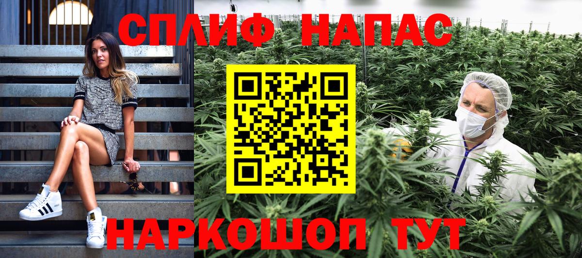 Бошки Шишки марихуана Белгород